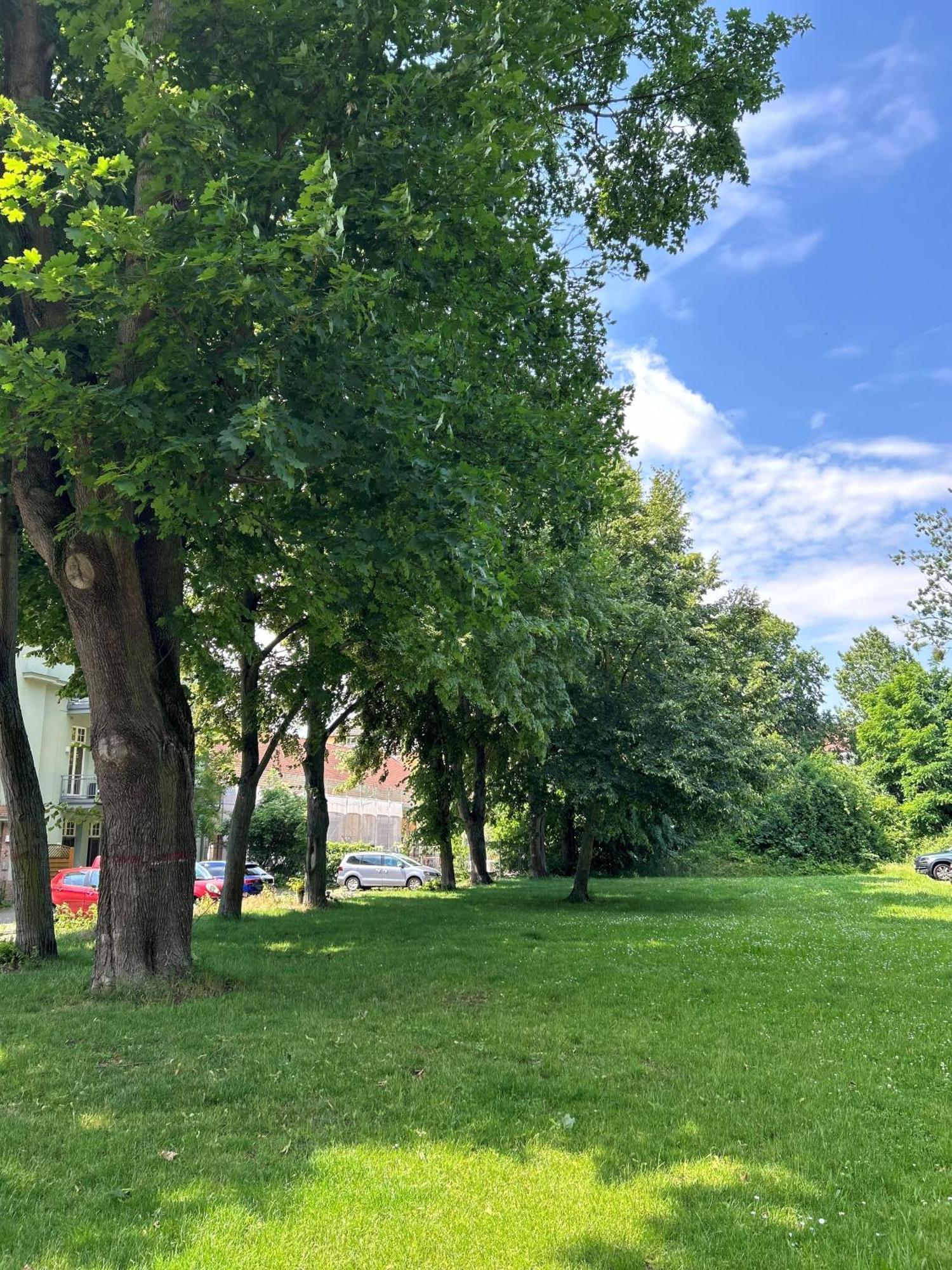 Mintara Komfort Apartment Mit Grill -Terrasse, Sky Und Parkplatz Magdeburg Bagian luar foto