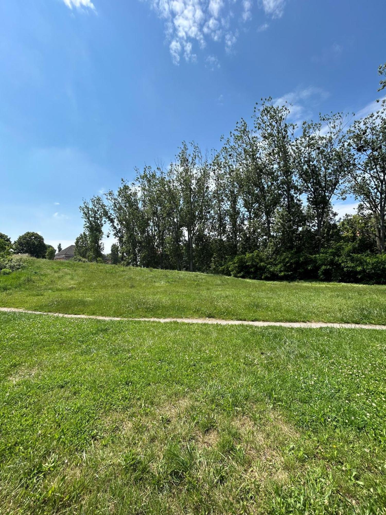 Mintara Komfort Apartment Mit Grill -Terrasse, Sky Und Parkplatz Magdeburg Bagian luar foto